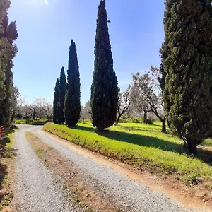 Il Palagio Dom wakacyjny